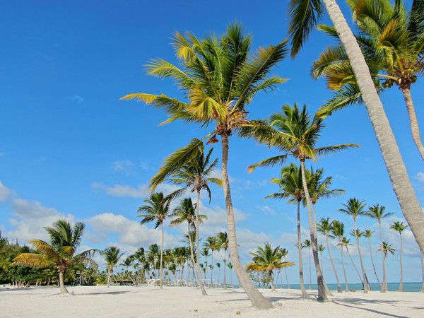 Comparatif : Norwegian Cruise Line vs d'autres compagnies de croisière